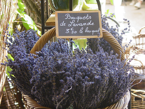 Bouquets de Lavande