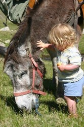 enfant-montagne3sm