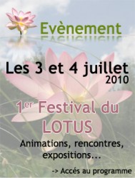 festival-lotus