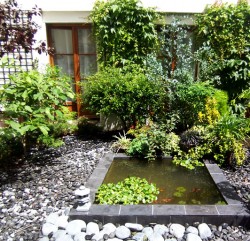 garden-koi-pond
