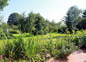 JOSY B & B Le Jardin