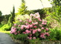 le parc