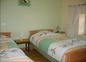 SUITE VENDANGETTE