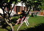petit déjeuner sous les arbres