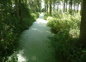 Le chemin d'eau