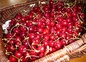 cerises de la propriété