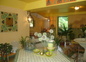 le patio