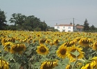 chambres d'hotes