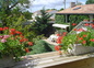 le jardin