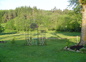 parc avec chevaux