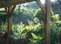 le jardin