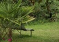 le jardin