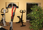 Salle Fitness