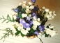 quelques fleurs de mon jardin