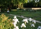 le jardin