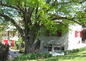 LA MAISON