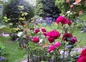 Le jardin