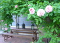 Pergola des 