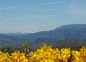 Vue sur Dent du Chat