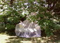 Sieste sous le catalpa