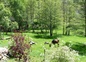 devant la ferme