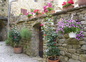 la terrasse