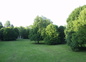 la vue sur le parc