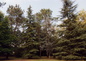 le parc
