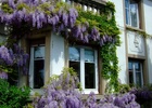 chambres d'hotes