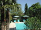 La piscine et ses palmiers