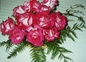 quelques roses de mon jardin