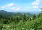 paysage typique