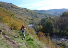 gites