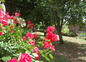 jardin de l'oustal