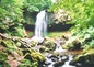 Cascade Vic