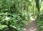 les chemins creux