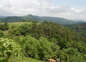 vue de la terrasse