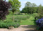 Le jardin