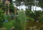 Vue du jardin