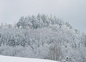 paysage d'hiver
