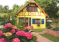 Hortensia devant le Gîte