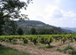 Vue de la terrasse