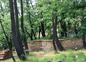 le parc
