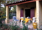 la terrasse