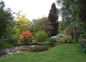 jardin 6