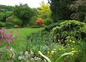 jardin 7