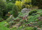 jardin 4