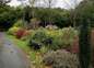 jardin en automne