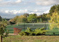 Le Tennis