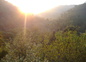 vue du mas